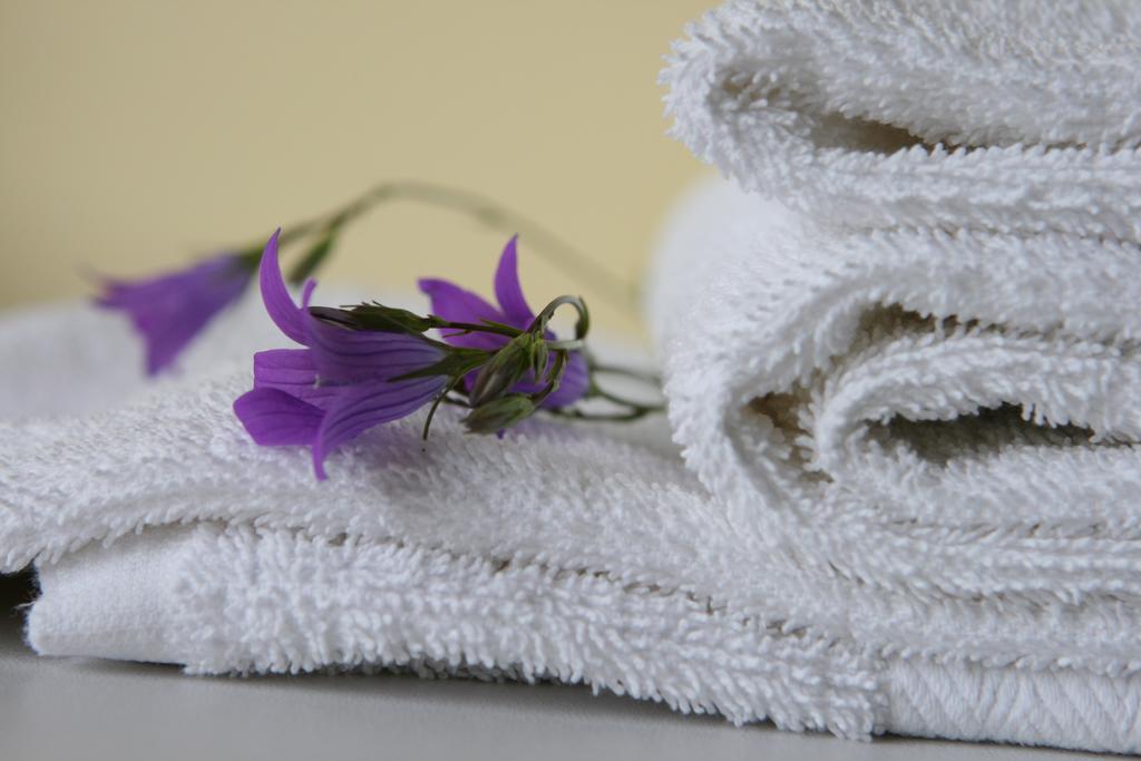 Hotel Audenis Birštonas Dış mekan fotoğraf