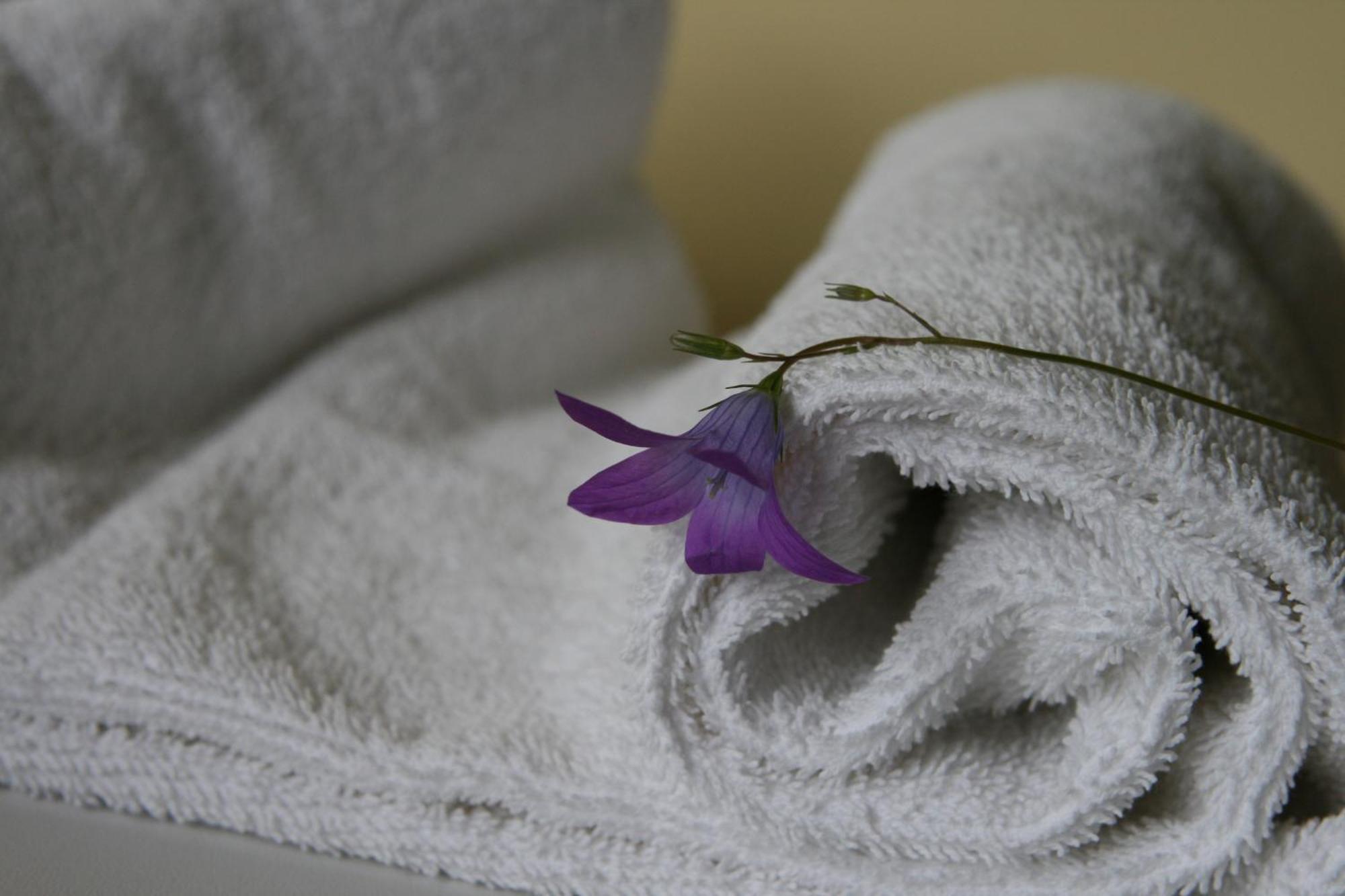 Hotel Audenis Birštonas Oda fotoğraf