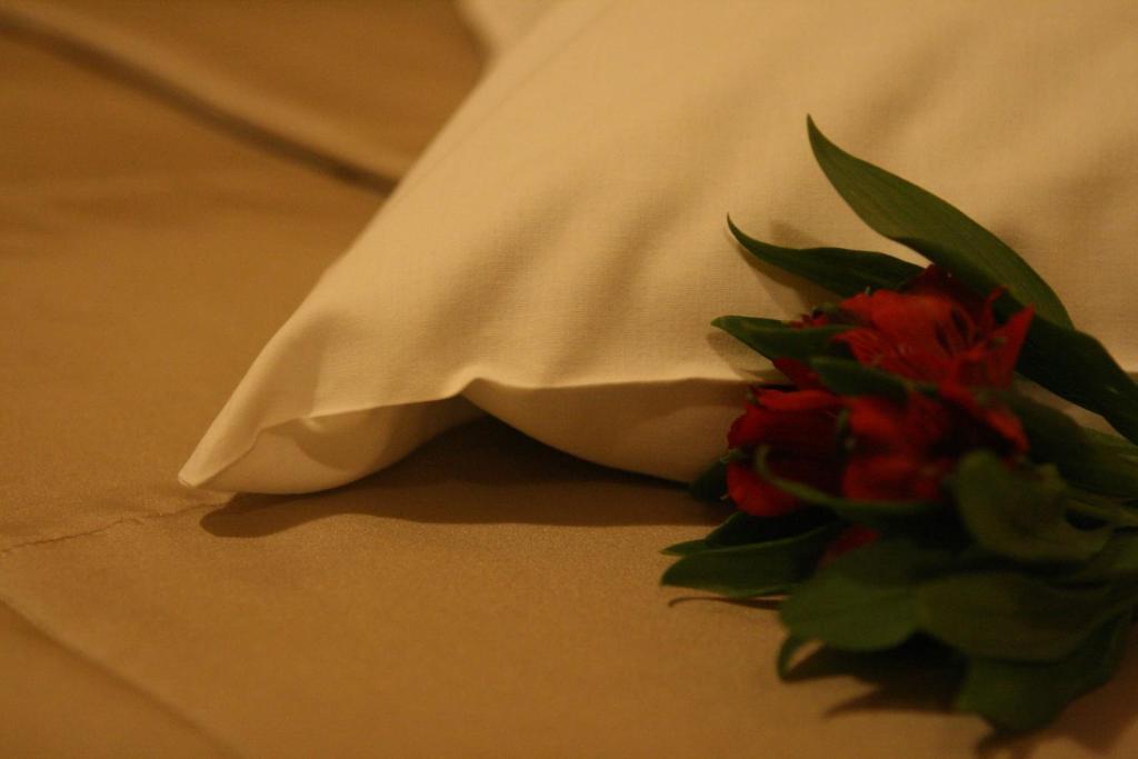 Hotel Audenis Birštonas Dış mekan fotoğraf